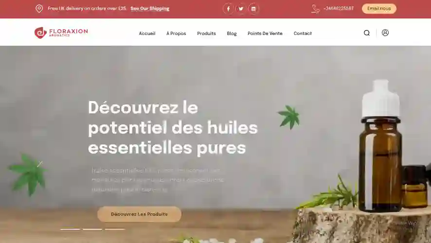 Site web JF LAROZE